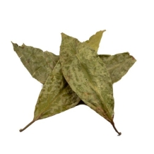 images/productimages/small/Chaliponga leaves.jpg